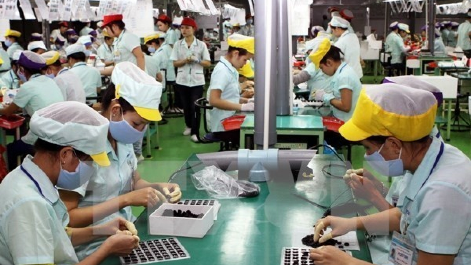 ILO pledges to support Vietnam in TPP