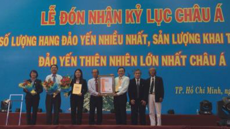 Salangane nest company named Asian record holder