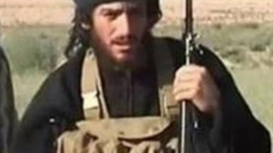 Key Islamic State leader killed in apparent US strike in Syria