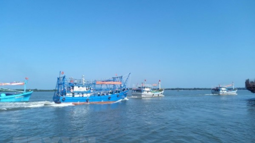 Tien Giang takes urgent solutions to IUU fishing