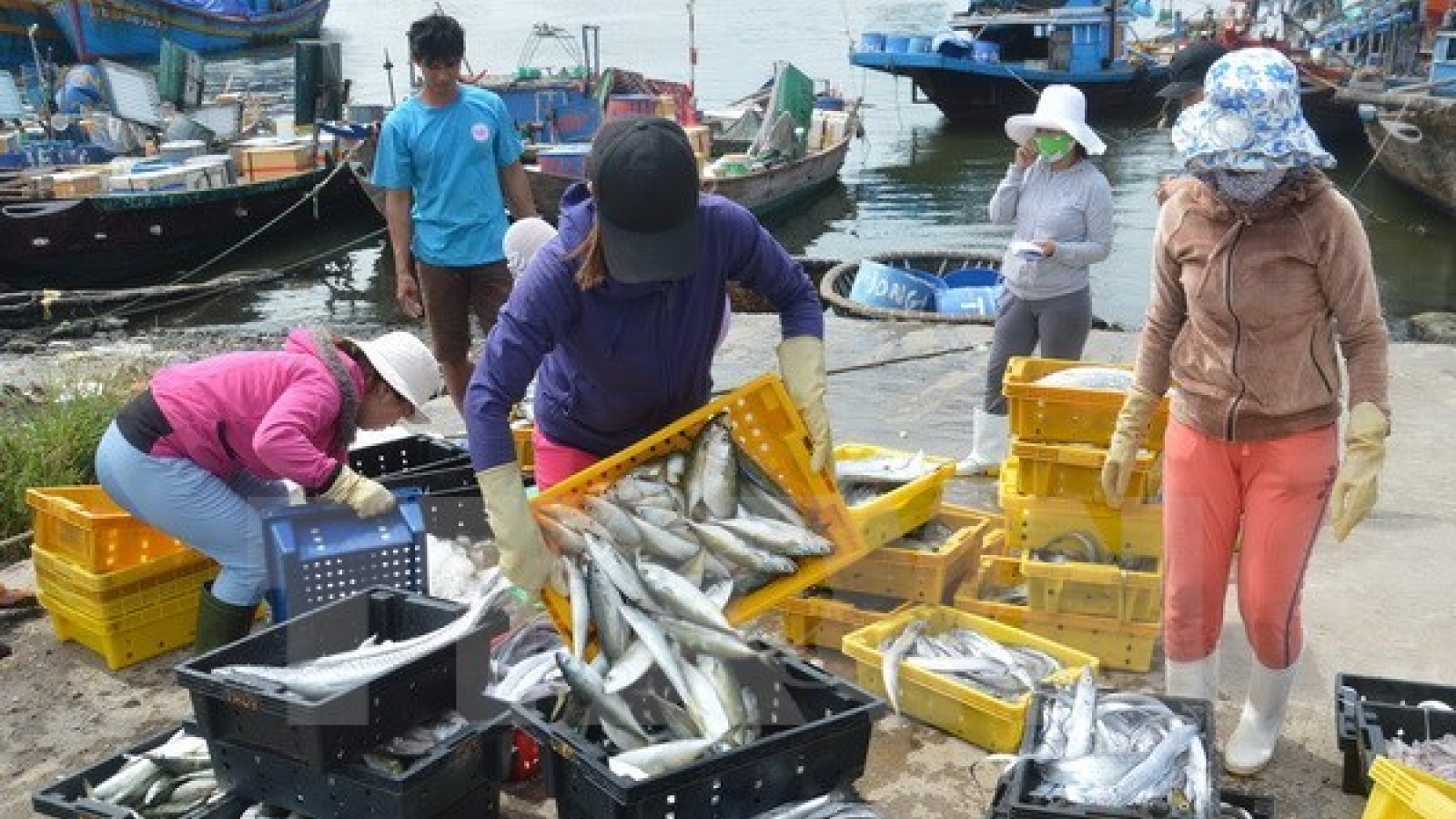 Urgent measures taken to respond to EU’s warning on IUU fishing