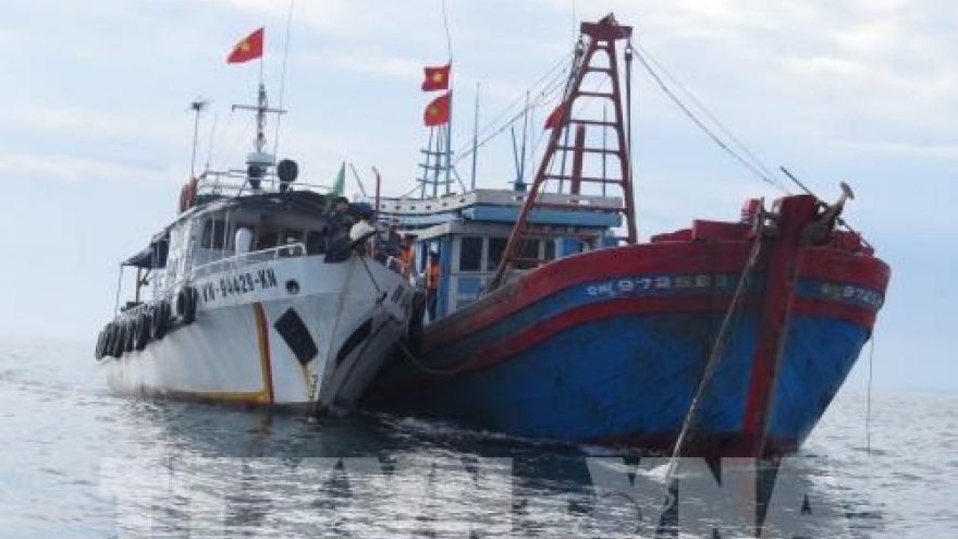 Vietnam pushes drastic measures to fight IUU fishing