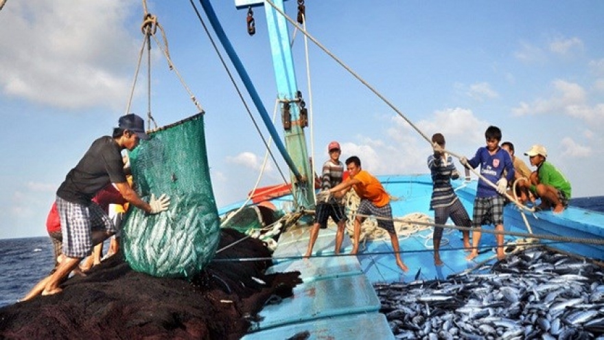 Binh Thuan steps up disseminations to fight IUU fishing