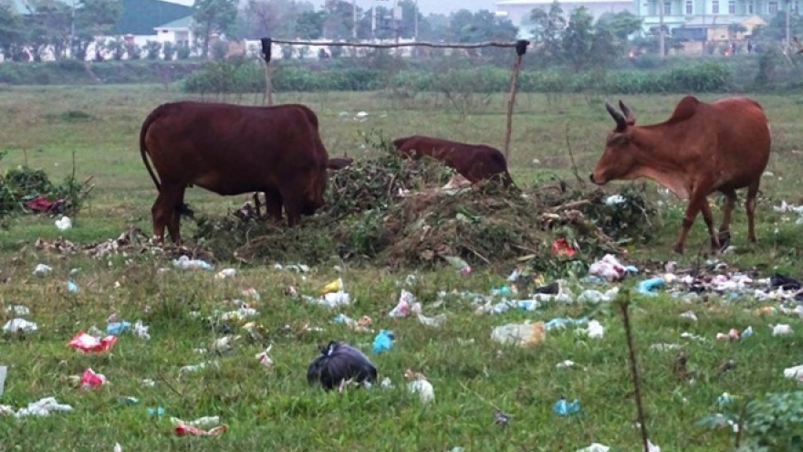 Mekong Delta: Many industrial zones built, but others left idle