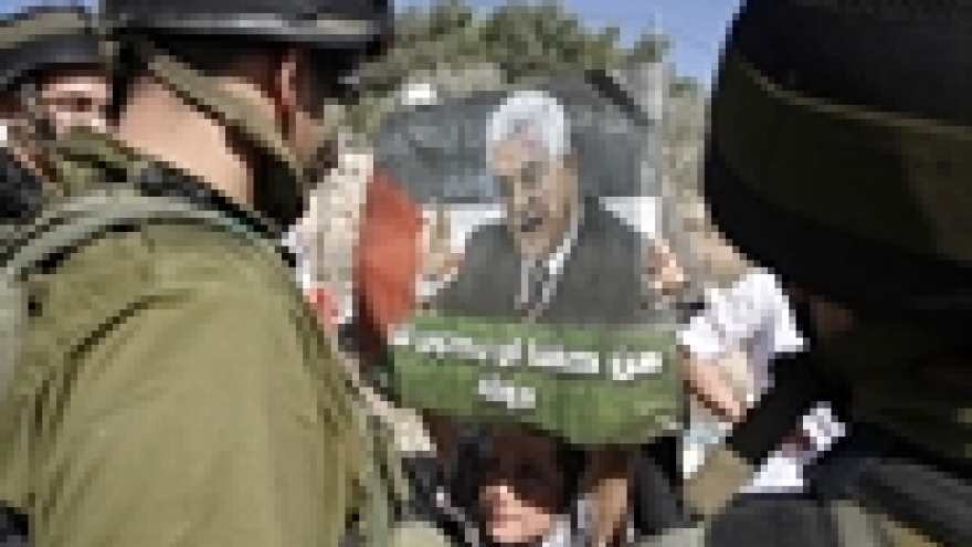 Palestinian aspirations
