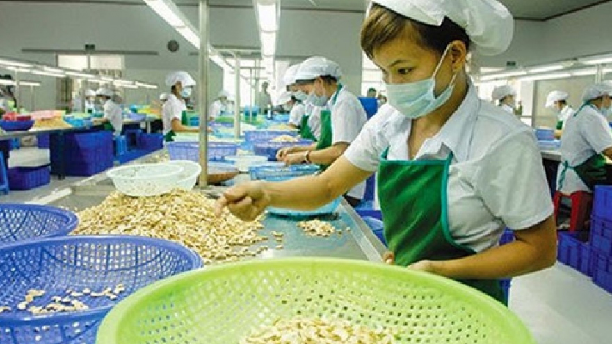 Vietnam enjoys trade surplus with India