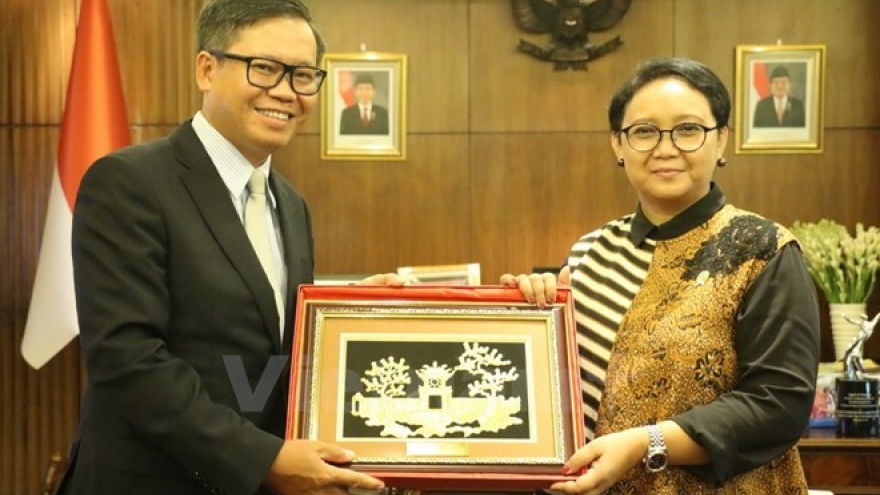Vietnam diplomat vows to make active contributions to ASEAN