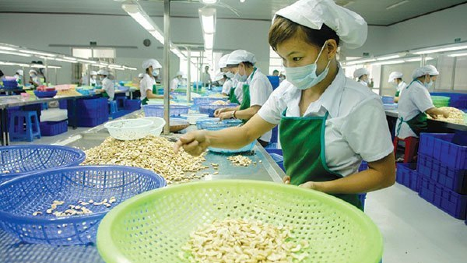 Agricultural product exports to Indonesia see sharp decline