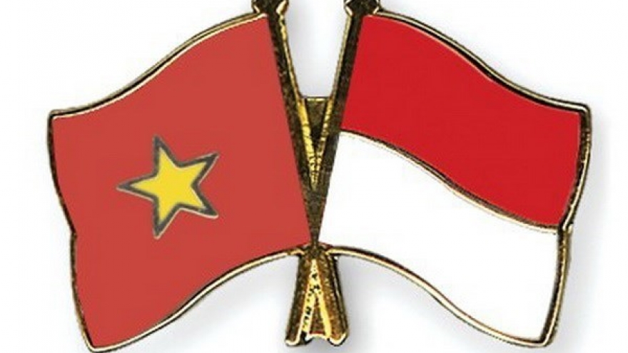 Seminar spotlights Vietnam-Indonesia partnership