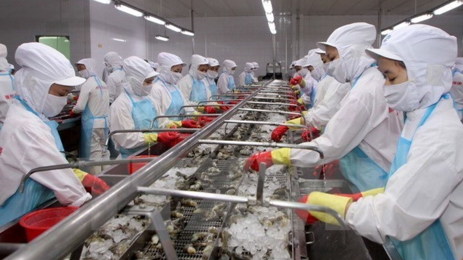 Intensive Sulfadiazine check required for Japan-bound shrimps