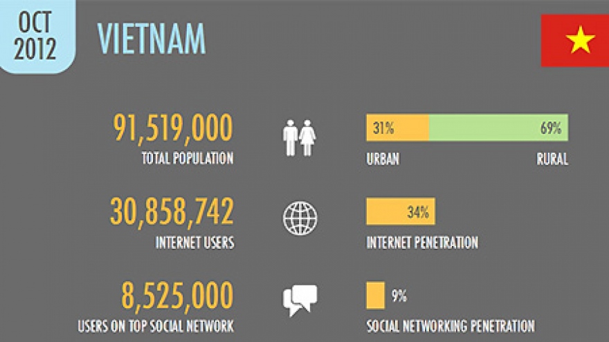 
        Vietnam boasts 30.8 million internet users
                              