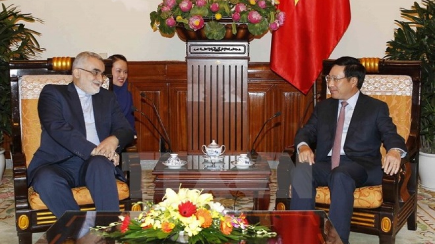 Vietnam, Iran should focus on raising trade: Deputy PM