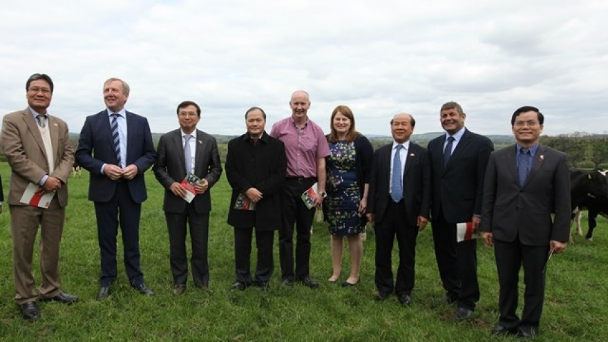 Deputy PM suggests Ireland prompt EU to soon sign FTA with Vietnam