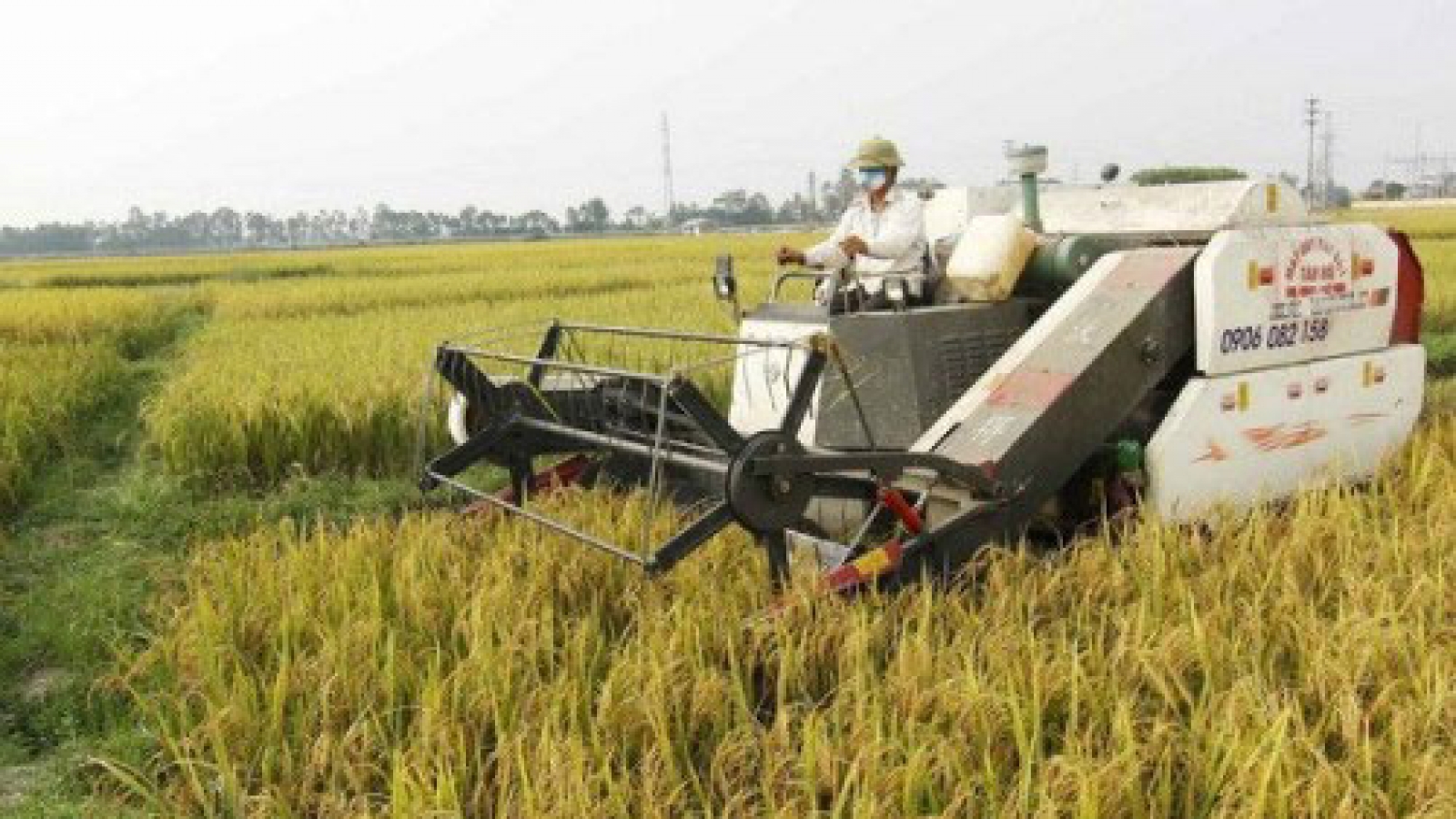 Israel, Vietnam enhance agricultural cooperation