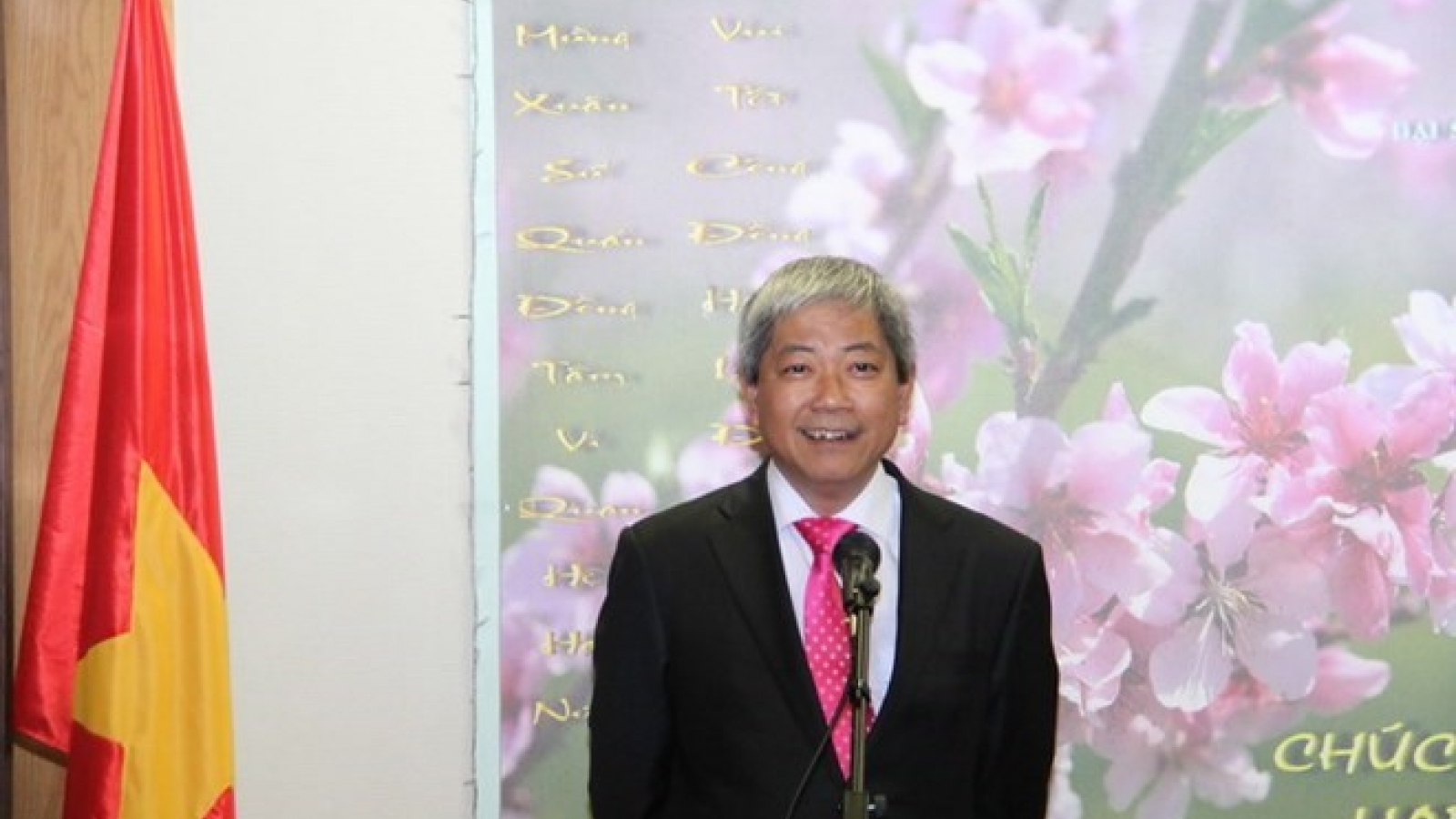Overseas Vietnamese in Israel, RoK celebrate Lunar New Year