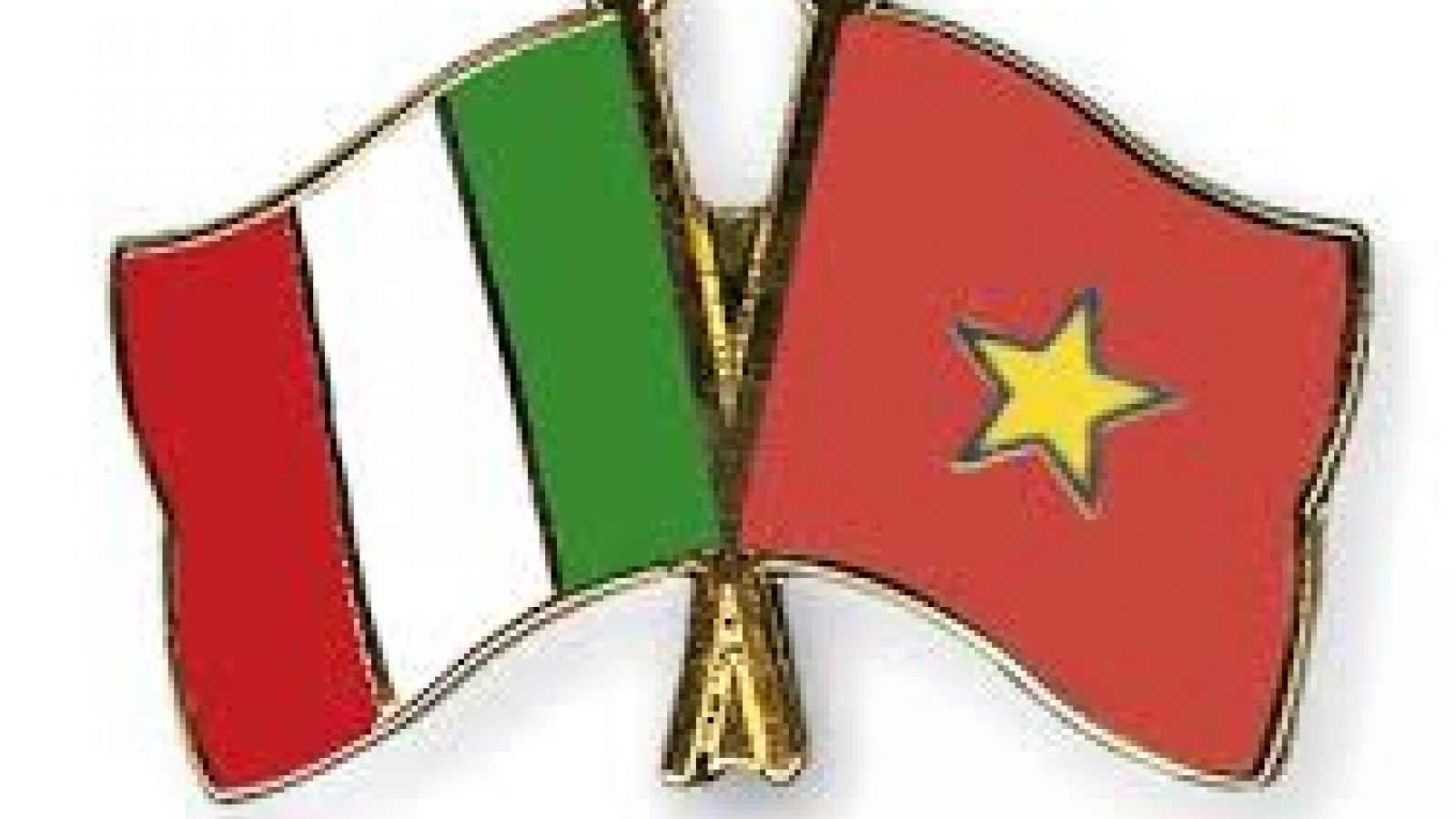 Seminar promotes understanding of the EU, Vietnam-Italy ties