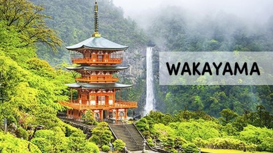 Can Tho, Japan locality seek to promote all-around cooperation