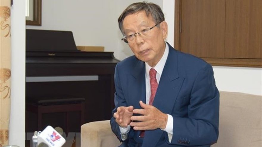 Vietnam-Japan relations develop stably in all aspects: Japanese politician