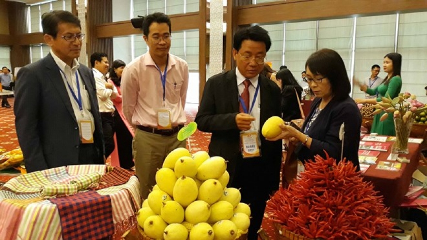 
        Ambassador affirms Japanese investors’ interest in Mekong Delta
                              