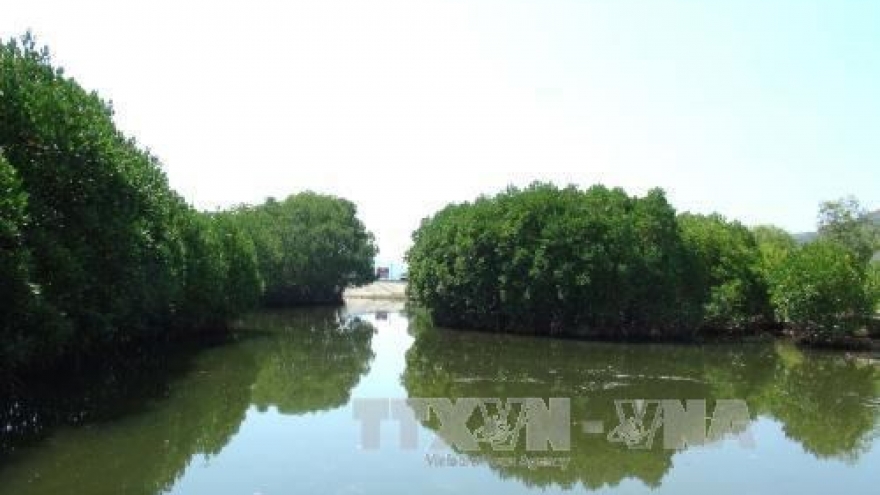 Khanh Hoa moves to protect marine ecosystem