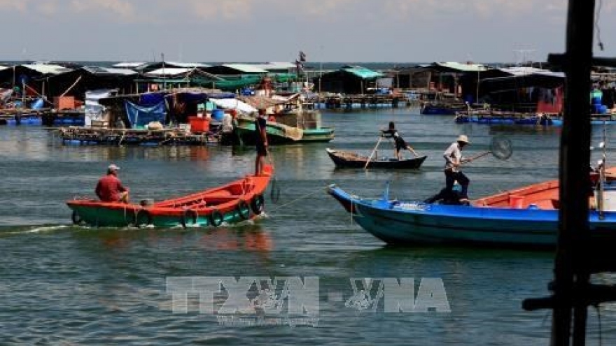 Kien Giang urged to protect aquatic resources