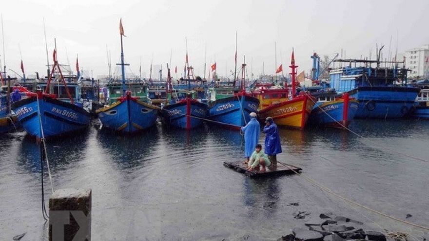 Kien Giang announces list of violating fishing vessels