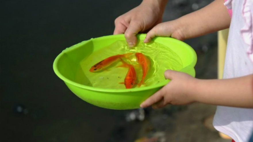 Vietnamese Kitchen Gods: A love affair retold