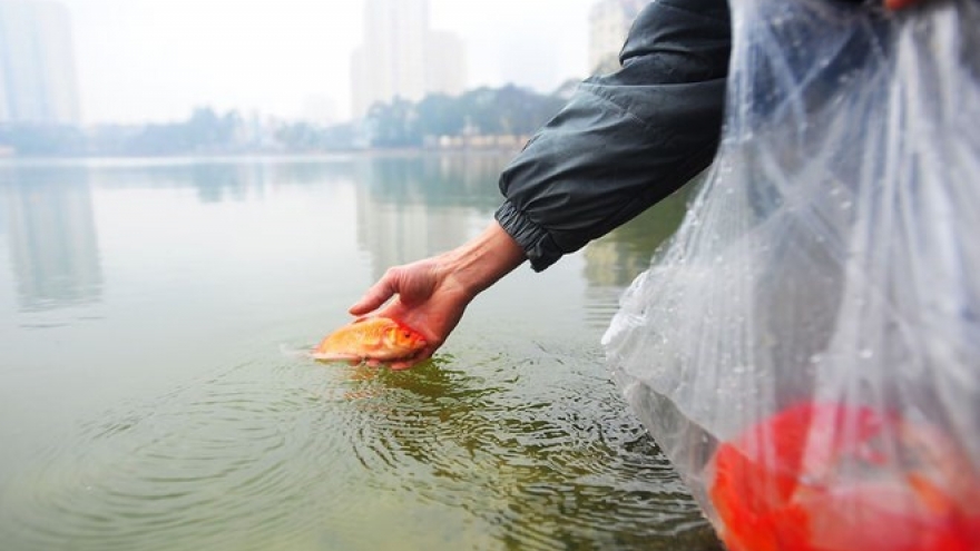 Lunar New Year – biggest traditional holiday in Vietnam