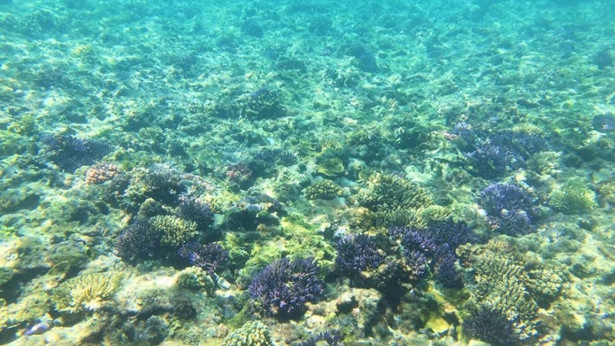 Ly Son – pearl in blue sea