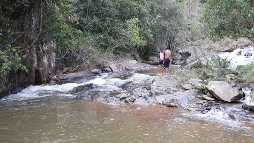Lam Dong: Drastic moves taken following tourists’ accidents