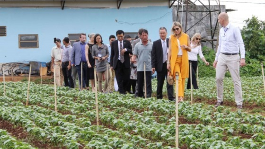 Dutch Queen visits farmers, businesses in Lam Dong