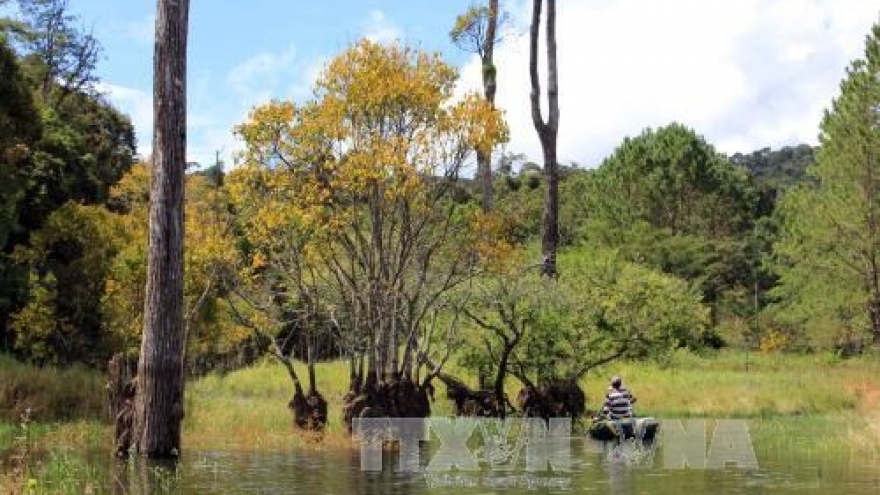 Lam Dong seeks first national tourism site title
