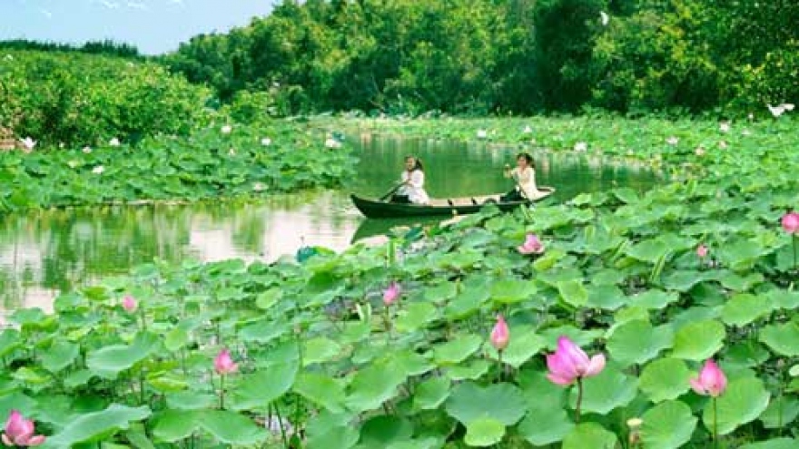 Dong Thap appeals to tourists with environmentally-friendly tourism