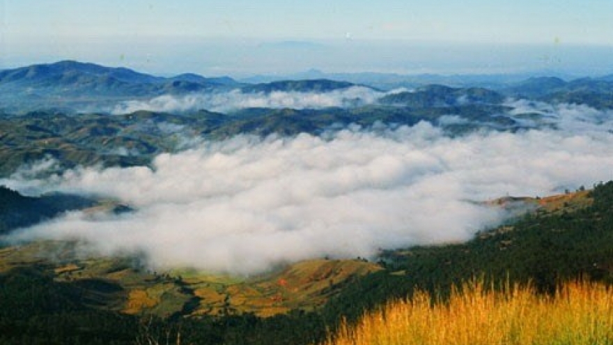 A visit to Langbiang Mountain