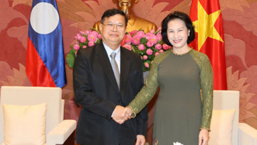 Vietnam, Laos promote legislative ties