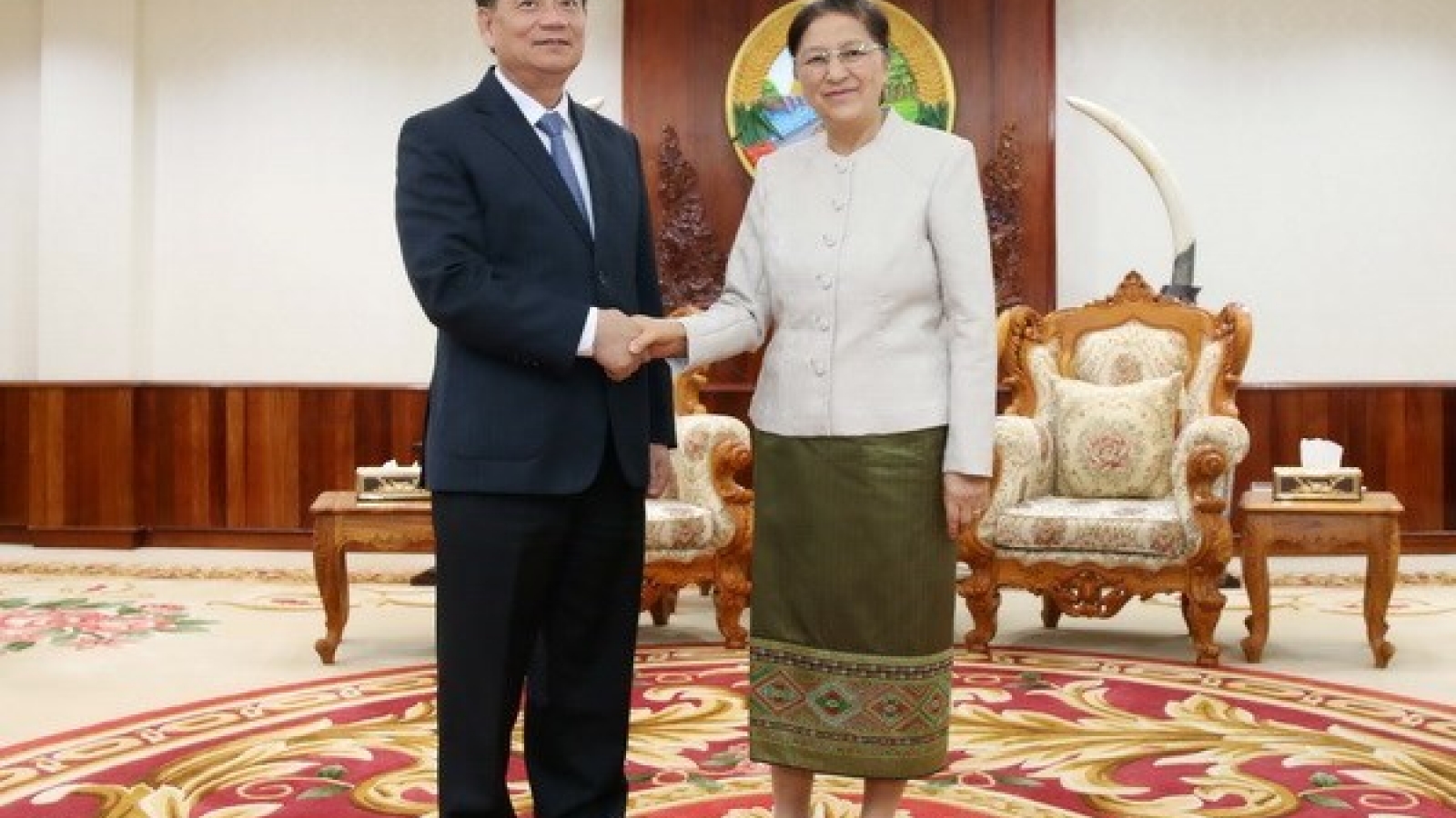 Vietnam to help Laos hold training courses for NA deputies