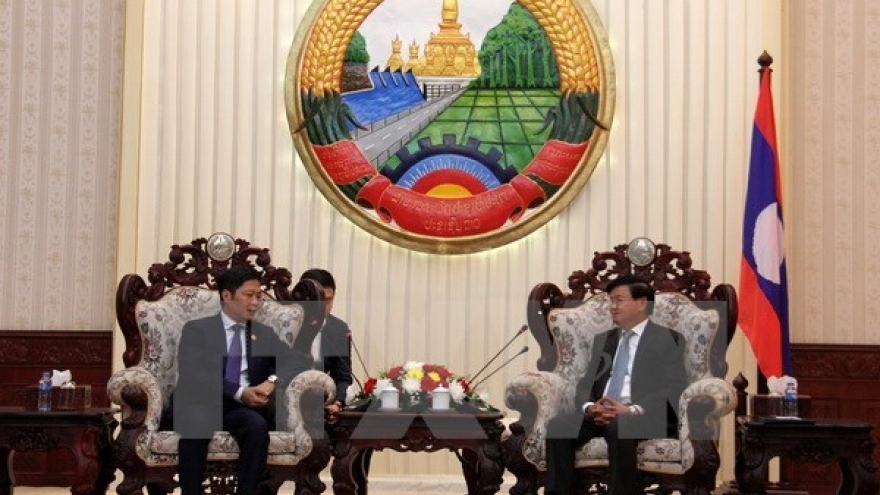 Laos welcomes Vietnam’s projects on goods production, wood processing