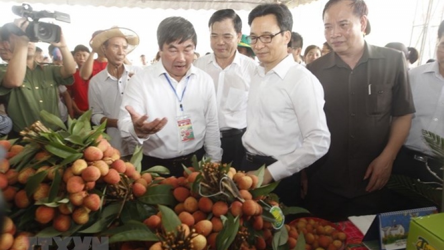 Thanh Ha litchi festival opens in Hai Duong