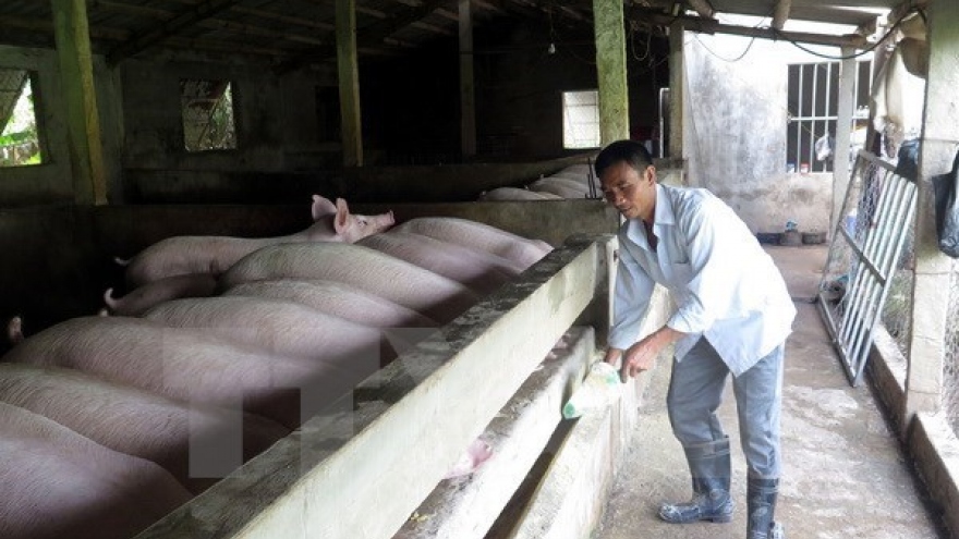 Livestock farmers urged to join production links
