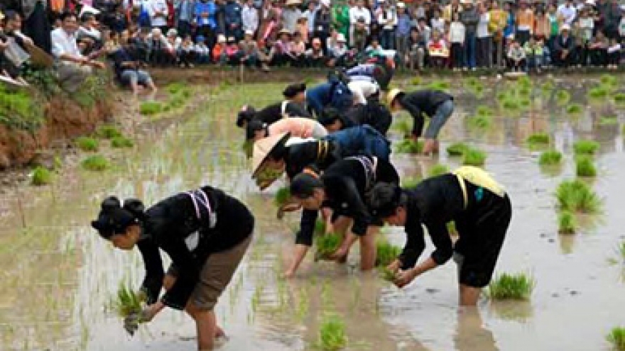 Tay ethnic performances become national heritage