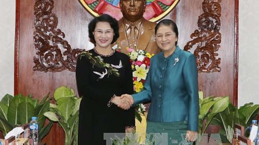 Vietnamese, Lao NA leaders hold talks