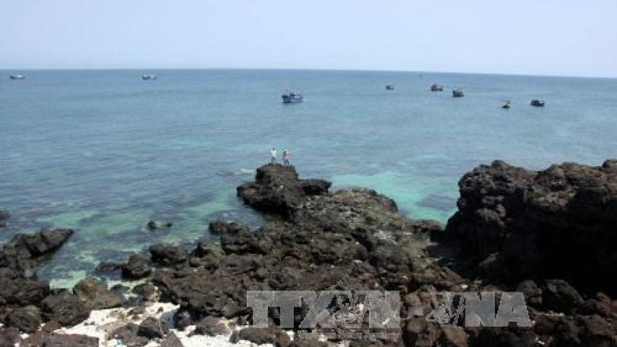 More efforts needed to preserve biodiversity on Ly Son Island