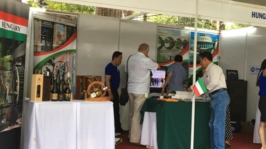 Festival promotes friendship between city residents, expats