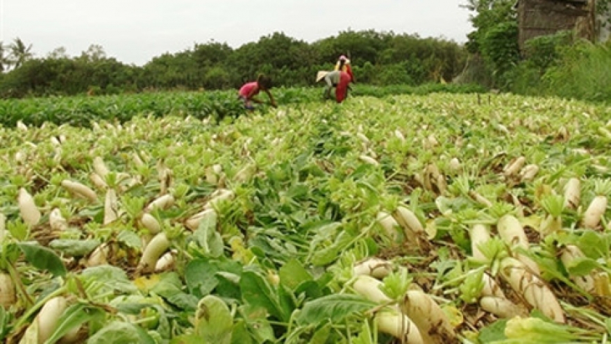 Vietnam’s sustainable poverty reduction is to implement MDGs