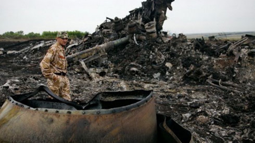 Three Vietnamese are among MH17 plane crash victims