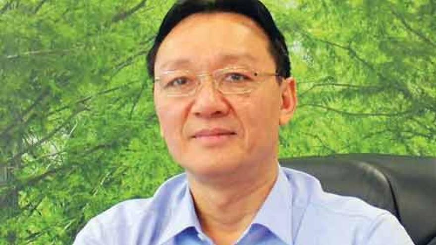 MoIT firms struggle to find strategic investors