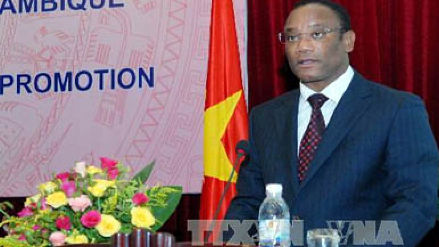 Increasing Vietnam-Mozambique investment efficiency