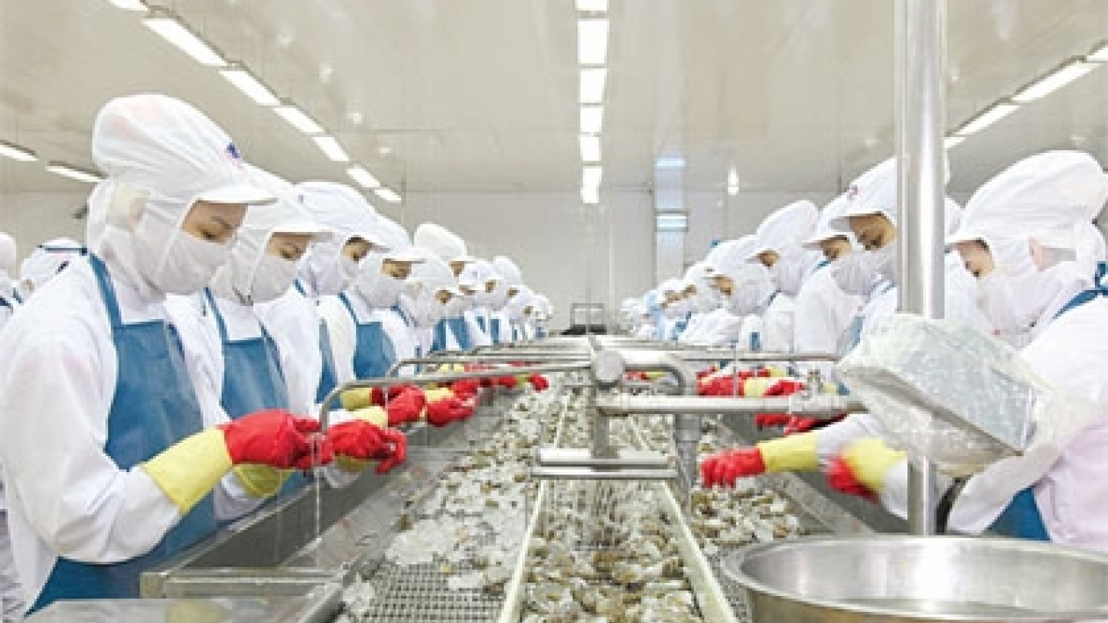 “King of Shrimp” ushers in eco-reforms