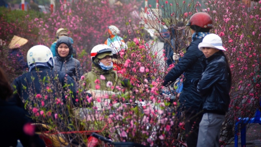 Quang Ba flower market among best places for lunar New Year: CNN