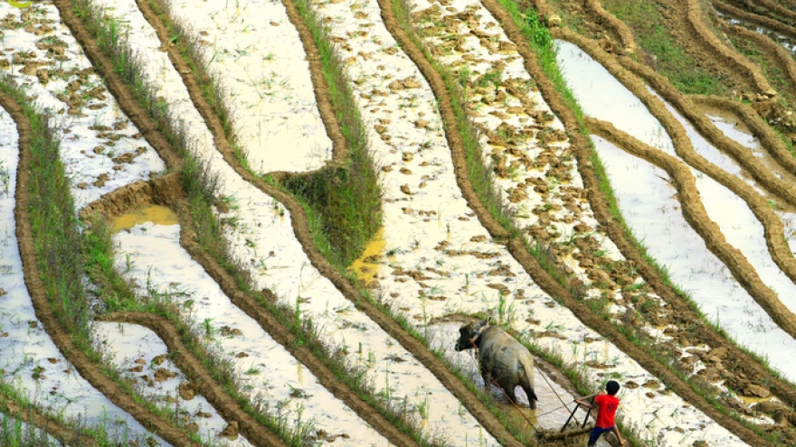 Mang Mu in pour water season